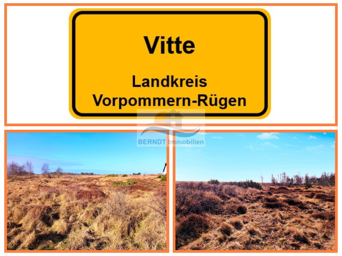 Gesamtansicht